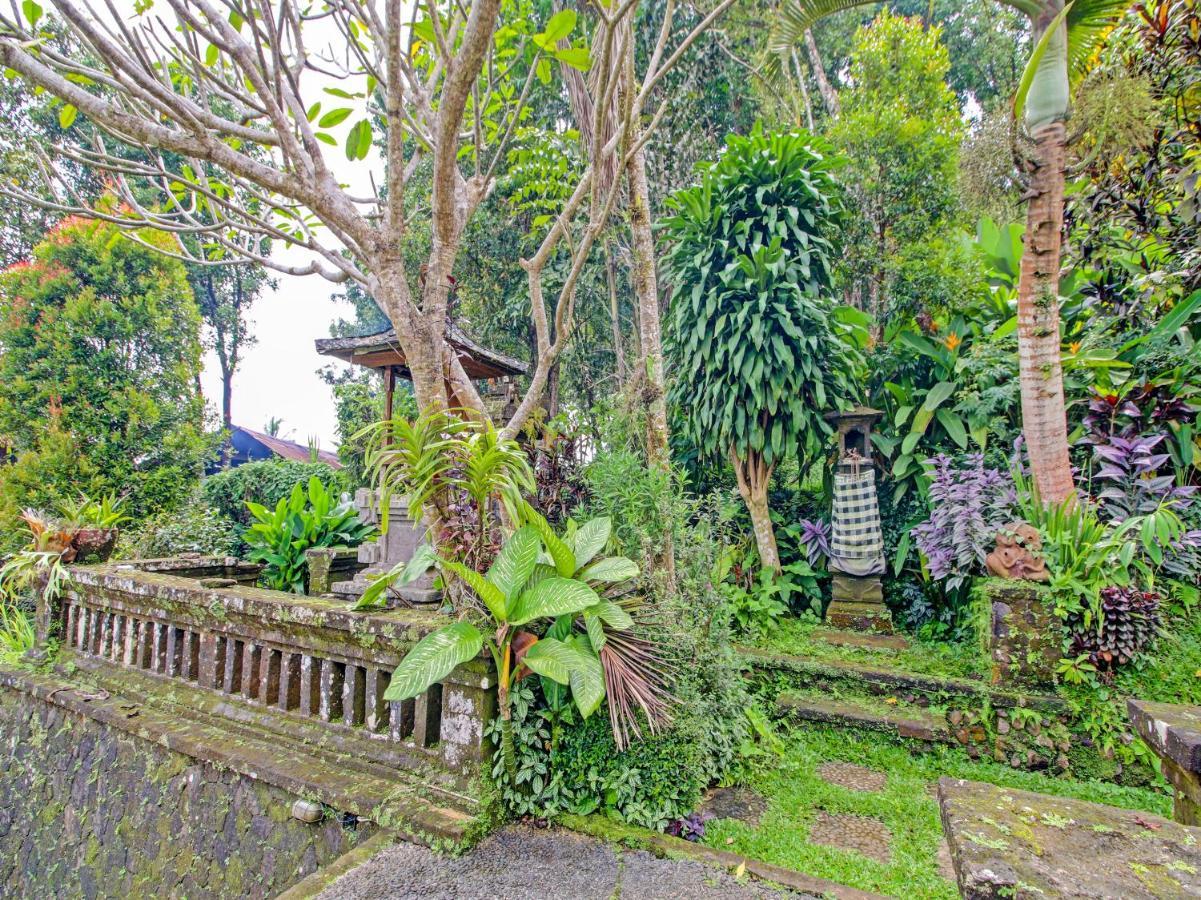 Oyo Homes 91091 Desa Wisata Umejero Мундук Экстерьер фото