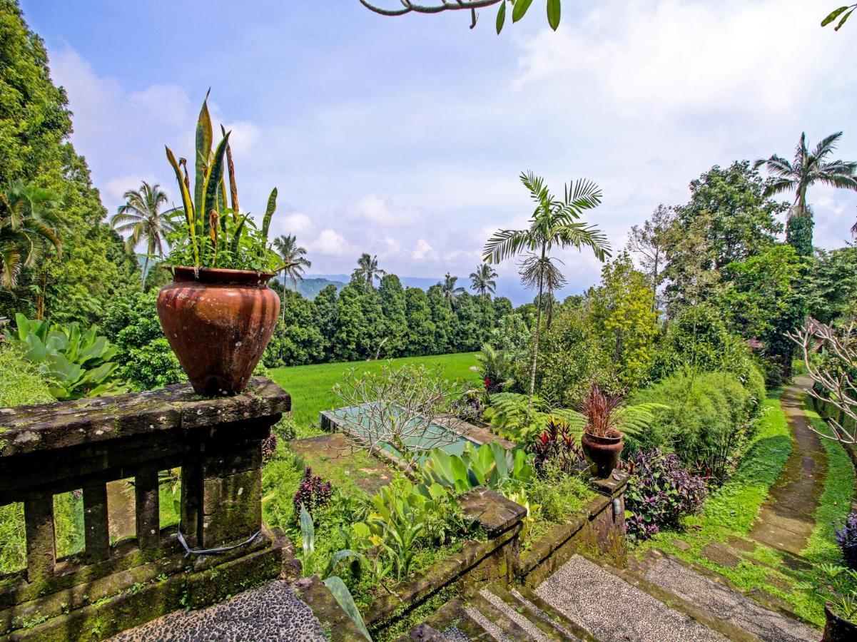 Oyo Homes 91091 Desa Wisata Umejero Мундук Экстерьер фото