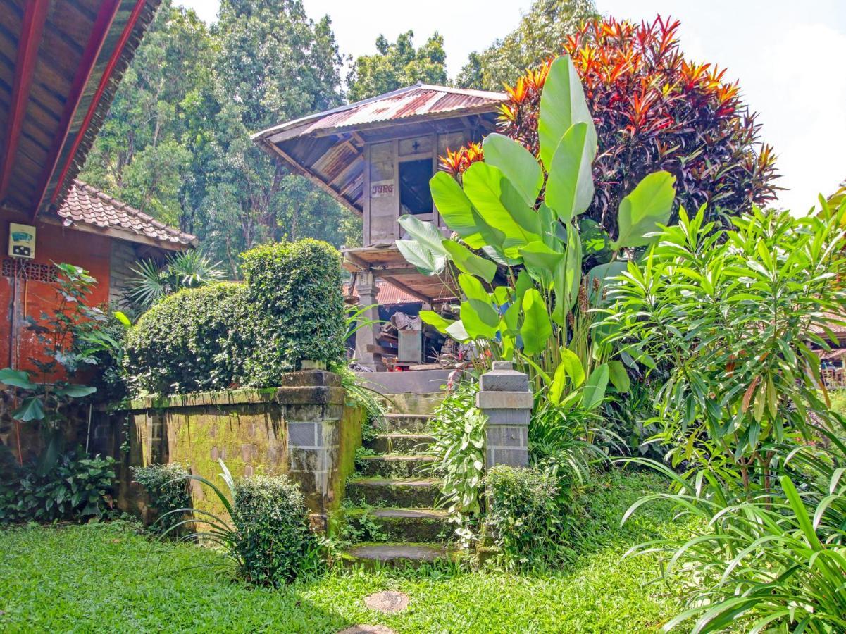 Oyo Homes 91091 Desa Wisata Umejero Мундук Экстерьер фото