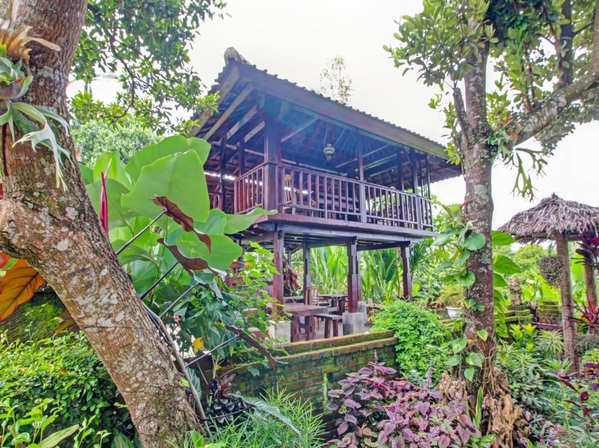 Oyo Homes 91091 Desa Wisata Umejero Мундук Экстерьер фото